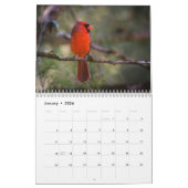 Calendrier Wens Cardinals Hummingbirds Pics Bird (Jan 2026)