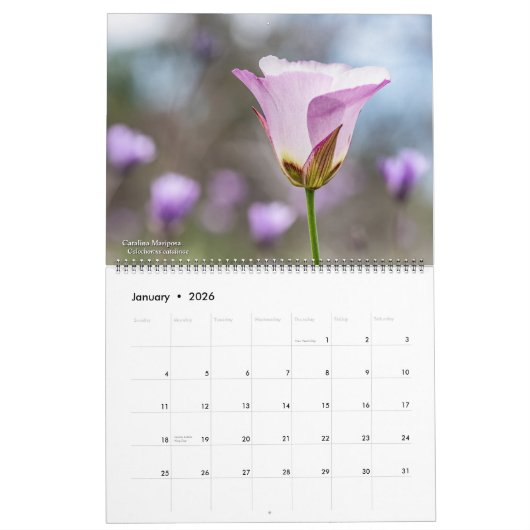 Calendrier Western Wildflowers 2026 Calendar (Jan 2026)