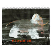 Calendrier Wetdryvac.Net 2013 (Protection)