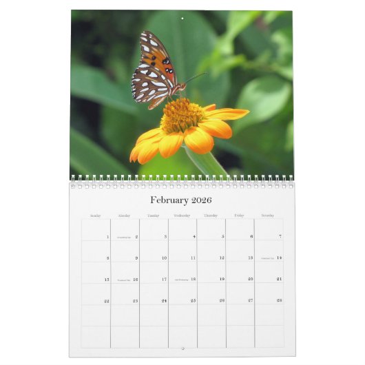 Calendrier What's Buggin' You - Insect Calendar - Edition 1 (Feb 2026)