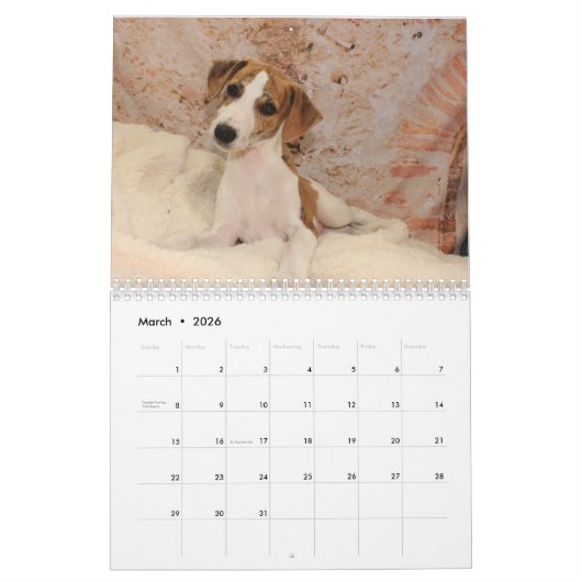 Calendrier Whippet (Mar 2026)