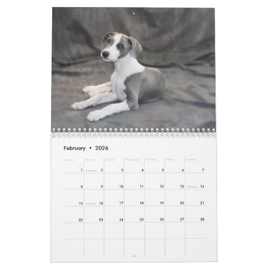 Calendrier Whippet (Feb 2026)