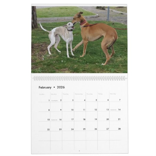 calendrier whippet (Feb 2026)
