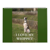 calendrier whippet (Protection)