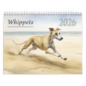 Calendrier Whippets 2026 (Protection)