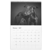 Calendrier Whippets dans le studio 2013 (Feb 2027)