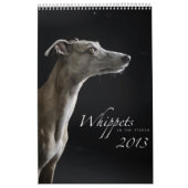Calendrier Whippets dans le studio 2013 (Protection)