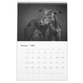 Calendrier Whippets dans le studio 2013 (Feb 2026)