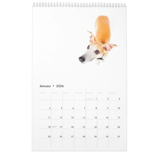 Calendrier Whippets dans le studio 2013 (Jan 2026)