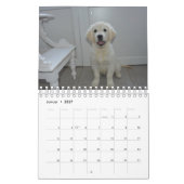 Calendrier White Puppies (Jan 2027)