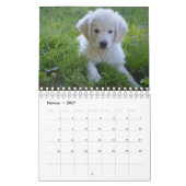 Calendrier White Puppies (Feb 2027)