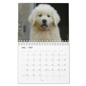 Calendrier White Puppies (Mar 2027)