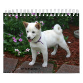 Calendrier White Puppies (Protection)