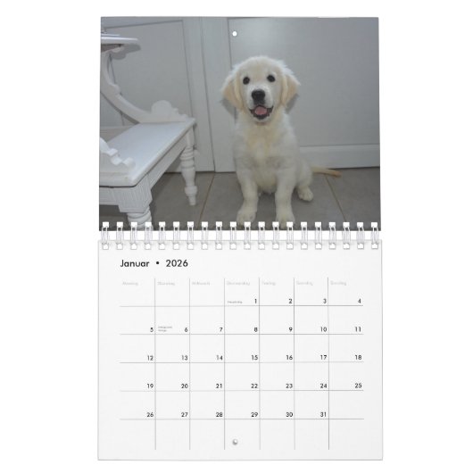 Calendrier White Puppies (Jan 2026)