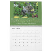 calendrier Wicca 2020 inclus (Mar 2027)