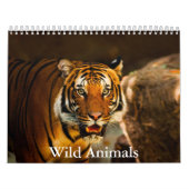 Calendrier Wild Animals Calendar (Protection)