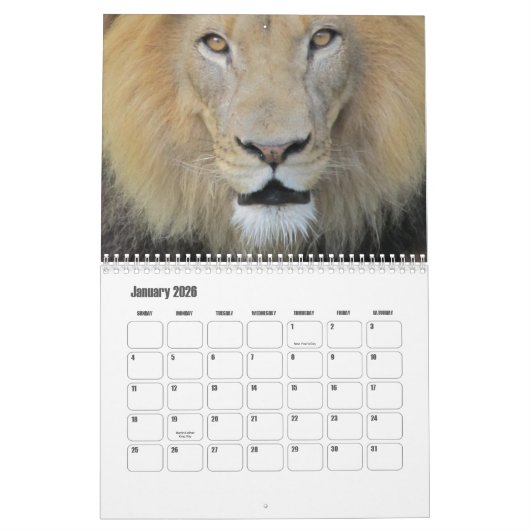 Calendrier Wild Animals Calendar (Jan 2026)