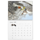 Calendrier 'Wild at Last' 2026 (Jan 2027)