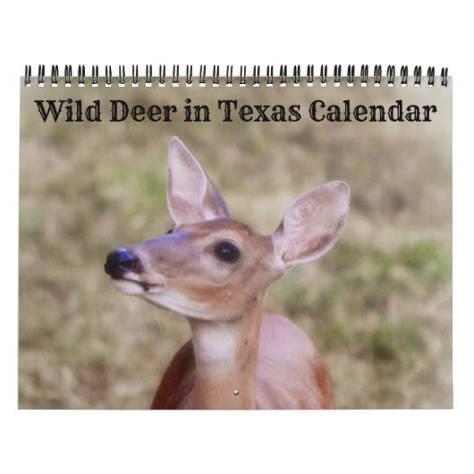 Calendrier Wild Deer au Texas (Protection)
