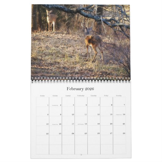 Calendrier Wild Deer au Texas (Feb 2026)