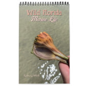 Calendrier Wild Florida Marine Snails Hermit Crabs Custom (Protection)
