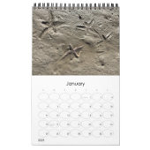 Calendrier Wild Florida Marine Snails Hermit Crabs Custom (Jan 2026)