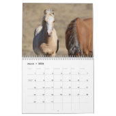 Calendrier Wild Foals of Salt Wells Creek (Mar 2026)