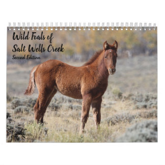 Calendrier Wild Foals of Salt Wells Creek