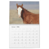 Calendrier Wild Foals of Salt Wells Creek (Jan 2026)