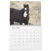 Calendrier Wild Foals of Salt Wells Creek (Mar 2026)