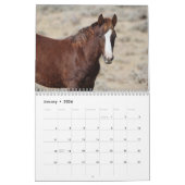 Calendrier Wild Foals of Salt Wells Creek (Jan 2026)