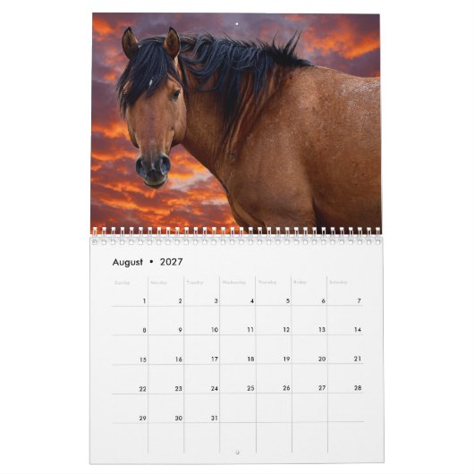 Calendrier Wild HOrse 2022 (Aug 2027)