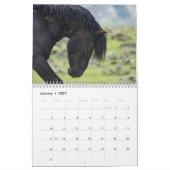 Calendrier Wild Horse Bubba (Jan 2027)