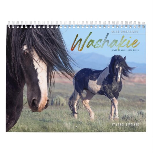 Calendrier Wild Horse Washakie (Protection)