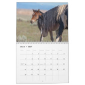 Calendrier Wild Horse Washakie (Mar 2027)