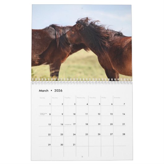 Calendrier Wild Horses of Sable Island (Mar 2026)
