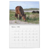 Calendrier Wild Horses of Sable Island (Feb 2026)