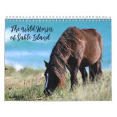 Calendrier Wild Horses of Sable Island (Protection)
