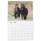Calendrier Wild Horses of Sable Island (Jan 2026)