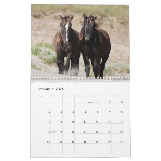 Calendrier Wild Horses of Sable Island (Jan 2026)