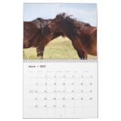 Calendrier Wild Horses of Sable Island (Mar 2027)