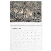Calendrier Wild Life 2026 Calendar (Feb 2026)