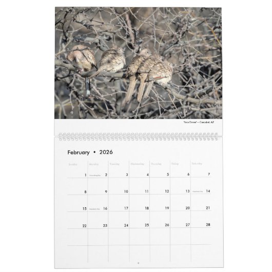 Calendrier Wild Life 2026 Calendar (Feb 2026)