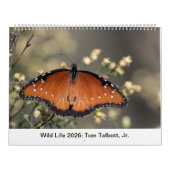 Calendrier Wild Life 2026 Calendar (Protection)