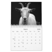 Calendrier Wild Life Black and White Printed Calendar 2022 (Mar 2026)