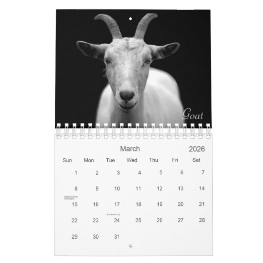 Calendrier Wild Life Black and White Printed Calendar 2022 (Mar 2026)
