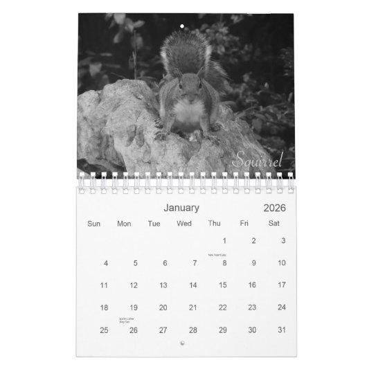 Calendrier Wild Life Black and White Printed Calendar 2022 (Jan 2026)