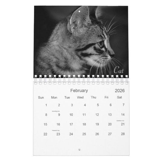 Calendrier Wild Life Black and White Printed Calendar 2022 (Feb 2026)