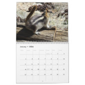 Calendrier Wild Life Calendar (Jan 2026)