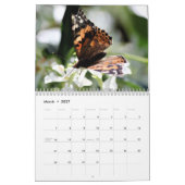 Calendrier Wild Life Calendar (Mar 2027)